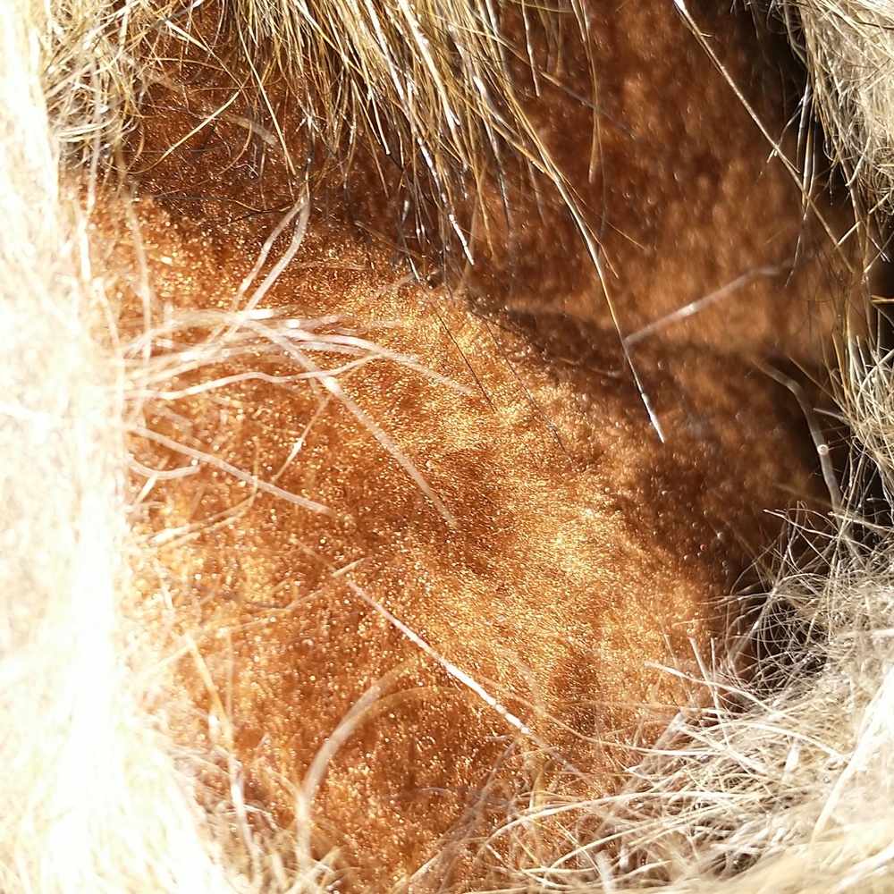 Ladies rabbit fur faux fur inside suede boots SZ 39 (8) - Picture 8 of 9